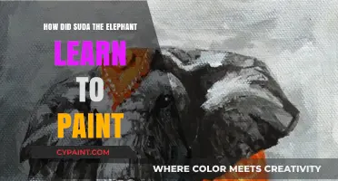 Suda's Artistic Journey: Unveiling the Elephant's Painting Talent