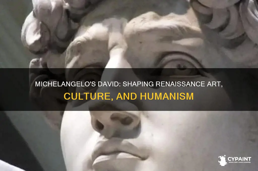 how did the david painting by michelangelo influence the renaissance