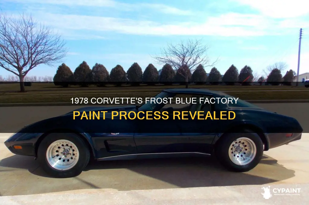 how did the factory paint 1978 corvette in frost blue