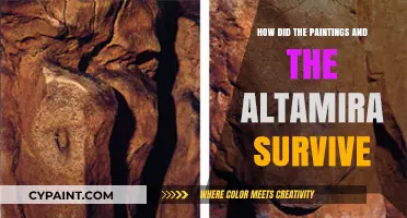 The Survival of Altamira's Ancient Art