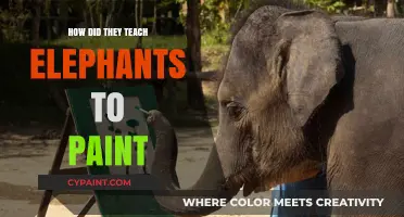 Unveiling the Surprising Techniques Behind Elephants' Artistic Painting Abilities