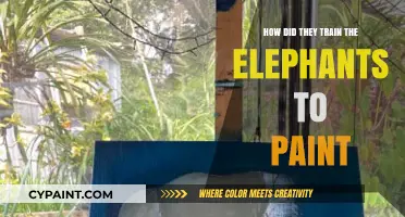Training Elephants to Paint: Techniques and Tricks