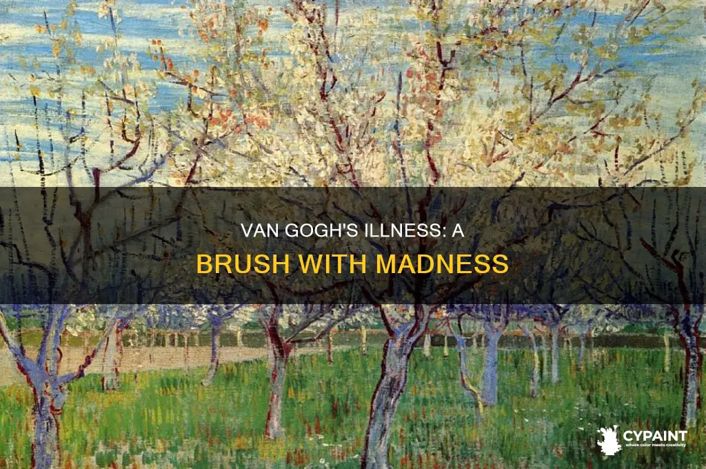 how did van ghoghs illnesses affect his paintings