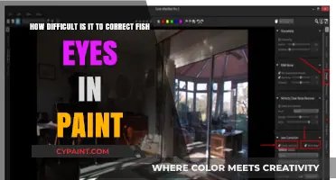 Mastering Fish Eye Correction: Challenges in Digital Painting Techniques
