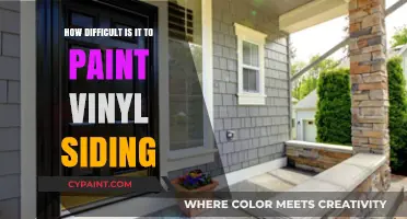 Vinyl Siding Painting: Is It Worth the Effort?