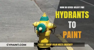 Selecting Fire Hydrants: City Painting Decisions
