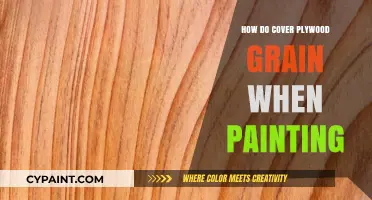 Conceal Plywood Grain: Expert Tips for Smooth Painted Surfaces