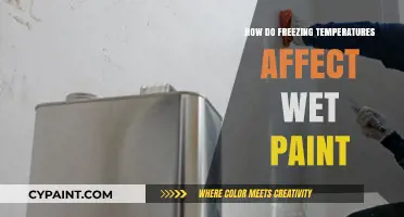 Freezing Temperatures and Wet Paint: Impact, Risks, and Prevention Tips