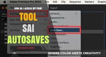 Finding Paint Tool Sai Autosaves: A Guide