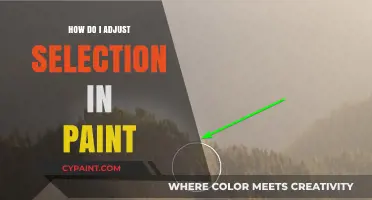 Mastering Paint: Easy Steps to Adjust Your Selection Like a Pro