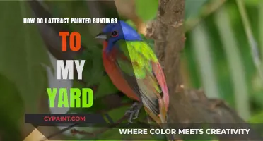 Attracting Painted Buntings: Transform Your Yard into a Haven