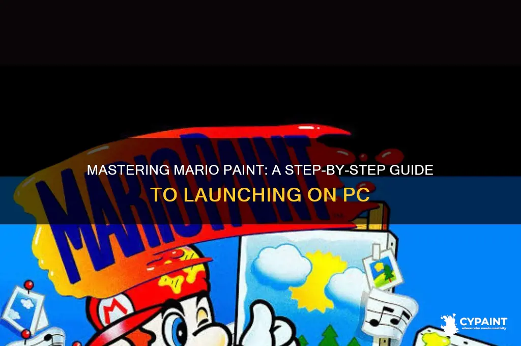 how do i click on mario paint in the computer