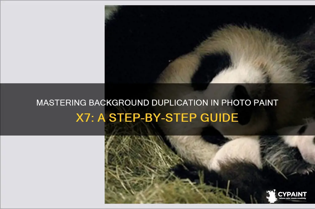 how do i copy a background in photo paint x7