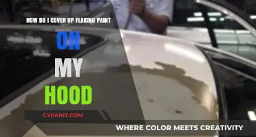 Fix Flaking Hood Paint: Quick DIY Cover-Up Solutions and Tips