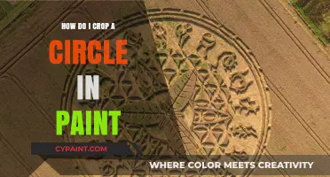 Cropping a Perfect Circle in Paint: Easy Step-by-Step Guide