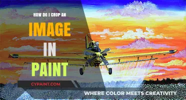 Mastering Image Cropping: A Simple Guide to Using Paint