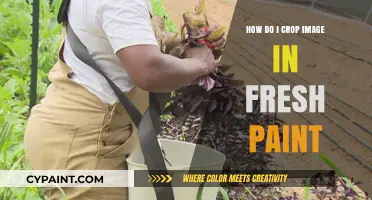 Cropping Images in Fresh Paint: A Step-by-Step Guide