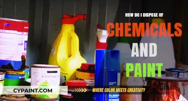 Dispose Chemicals and Paint: A Safe Guide