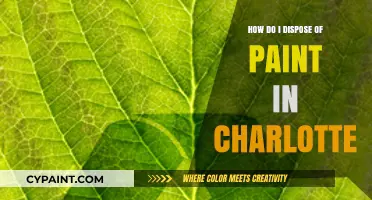 Charlotte Paint Disposal: The Right Way