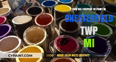 Proper Paint Disposal Methods in Chesterfield Twp, MI: A Guide