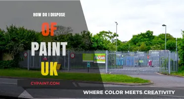 Eco-Friendly Paint Disposal Guide: UK Regulations and Best Practices