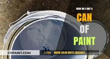 Quick Tips: How to Dry a Can of Paint Safely and Effectively