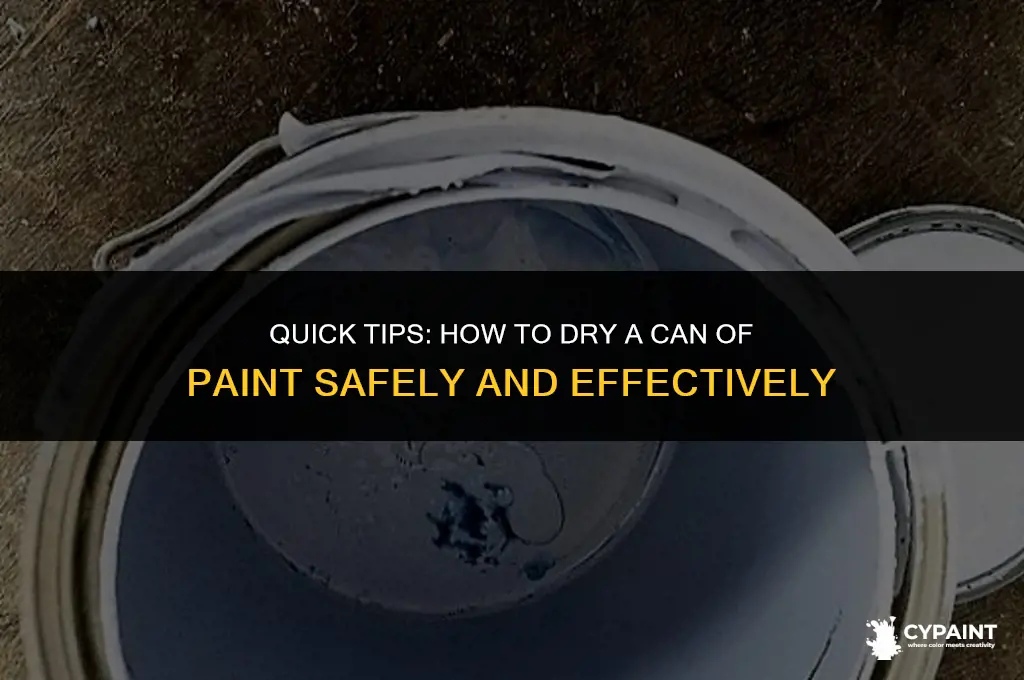 how do i dry a can of paint