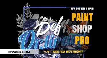 Master GIF Editing in PaintShop Pro: A Step-by-Step Guide