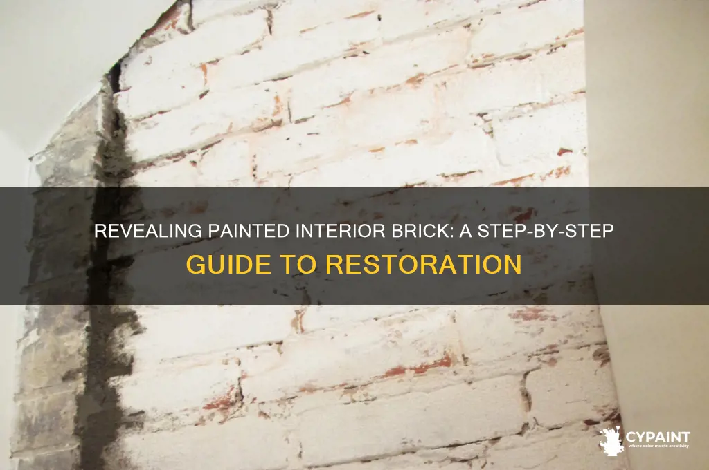 how do i expose painted interior brick