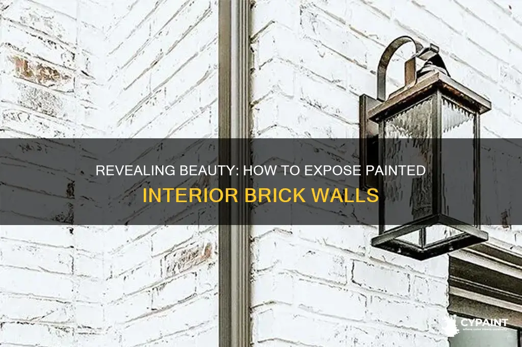 how do i expose painted itnerior brick