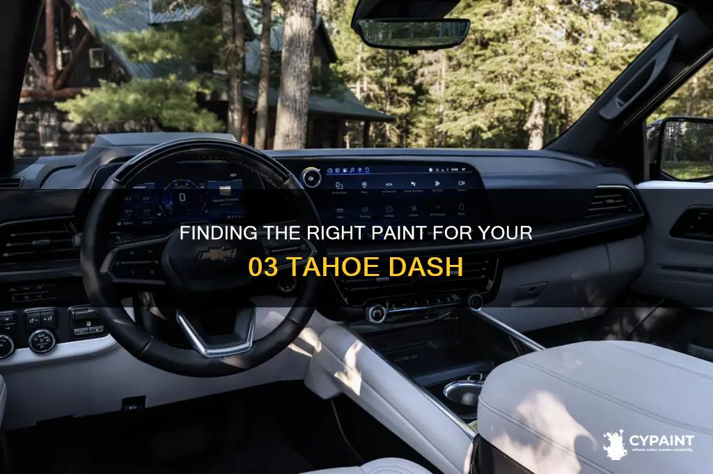 how do i find 03 tahoe dash paint