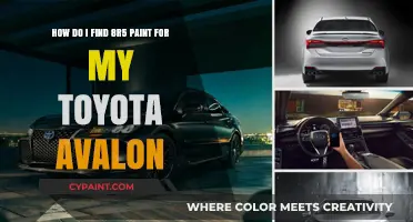 Finding the Perfect 8R5 Paint Match for Your Toyota Avalon