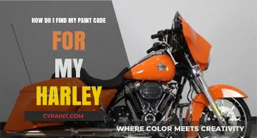 Locate Your Harley Paint Code: A Quick & Easy Guide