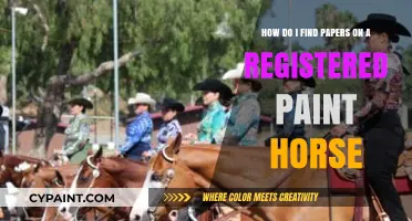 Finding Registered Paint Horse Papers: A Step-by-Step Guide