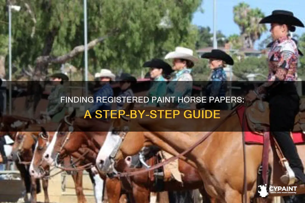 how do i find papers on a registered paint horse