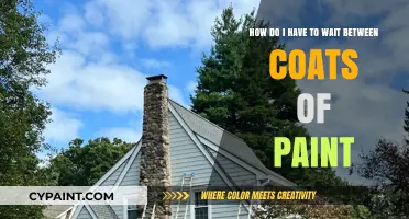 Perfect Paint Timing: Optimal Wait Times Between Coats Explained