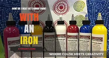 Mastering Fabric Paint: Heat Setting with an Iron Made Easy