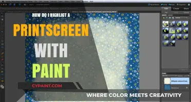Highlighting Screenshots: A Paint Tutorial