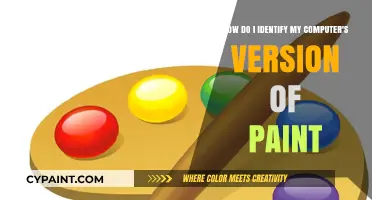 Quick Guide: Identifying Your Computer's Paint Version Easily