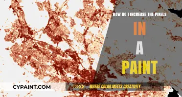 Increasing Pixels: A Guide to Enhancing Your Paint Creations