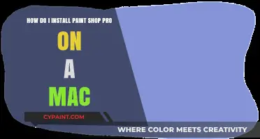 Install PaintShop Pro on Mac: Step-by-Step Guide for Beginners