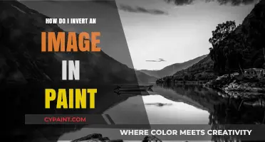 Inverting Images in Paint: A Simple Guide