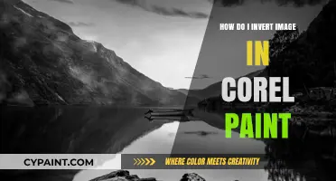 Inverting Images: A Simple Guide in Corel Paint