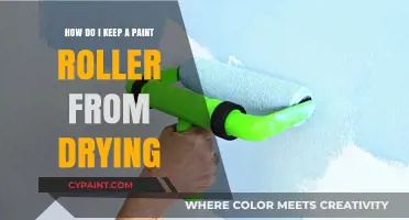 Keep Your Paint Roller Wet: Quick Tips and Tricks