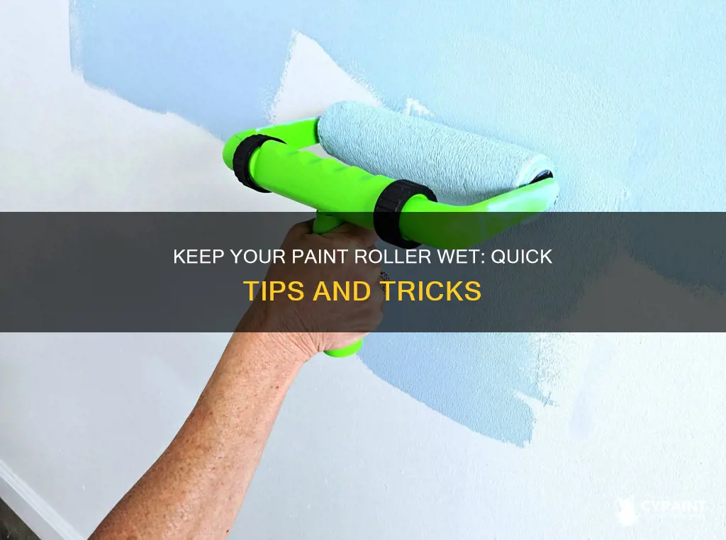 how do i keep a paint roller from drying