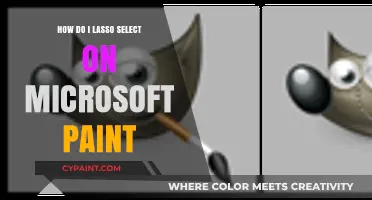Lasso Tool Mastery in MS Paint: A Step-by-Step Guide