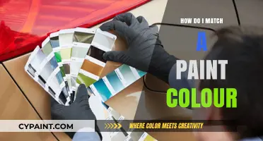Mastering Paint Matching: Tips to Perfectly Match Any Color