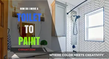 Relocating Your Toilet to Paint: A Step-by-Step Guide