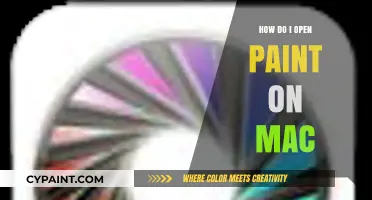 How to Access Paint on Your Mac: A Simple Guide