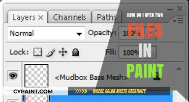 Opening Multiple Files in Paint: A Step-by-Step Guide